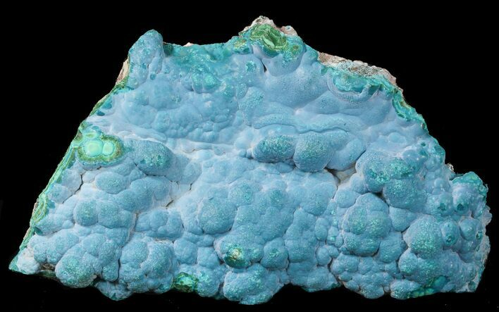 Blue-Green Chrysocolla on Malachite - Congo #45282
